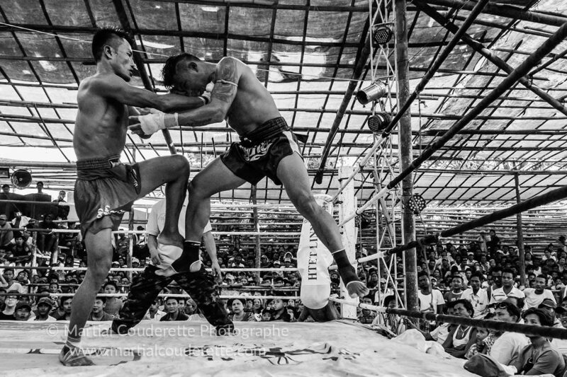 lethwei fights