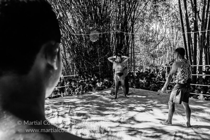 lethwei fights